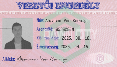 Képernyőfelvétel (278).png