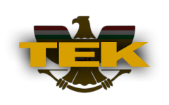tekk (1).png