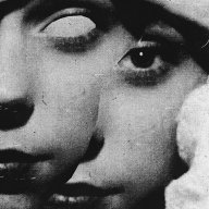 ShelbersVojaBukorija